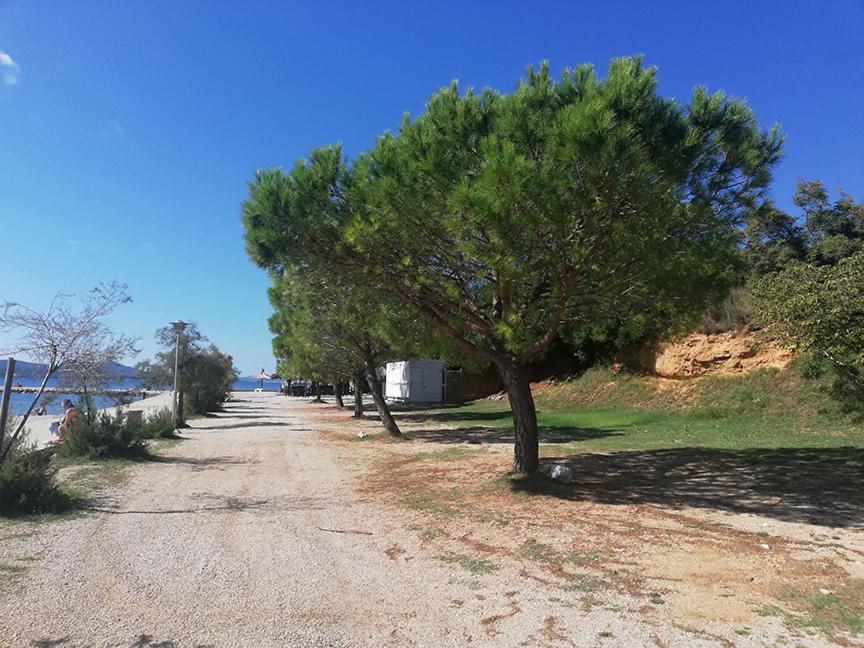 Danyja Apartments Sveti Filip i Jakov Exteriör bild