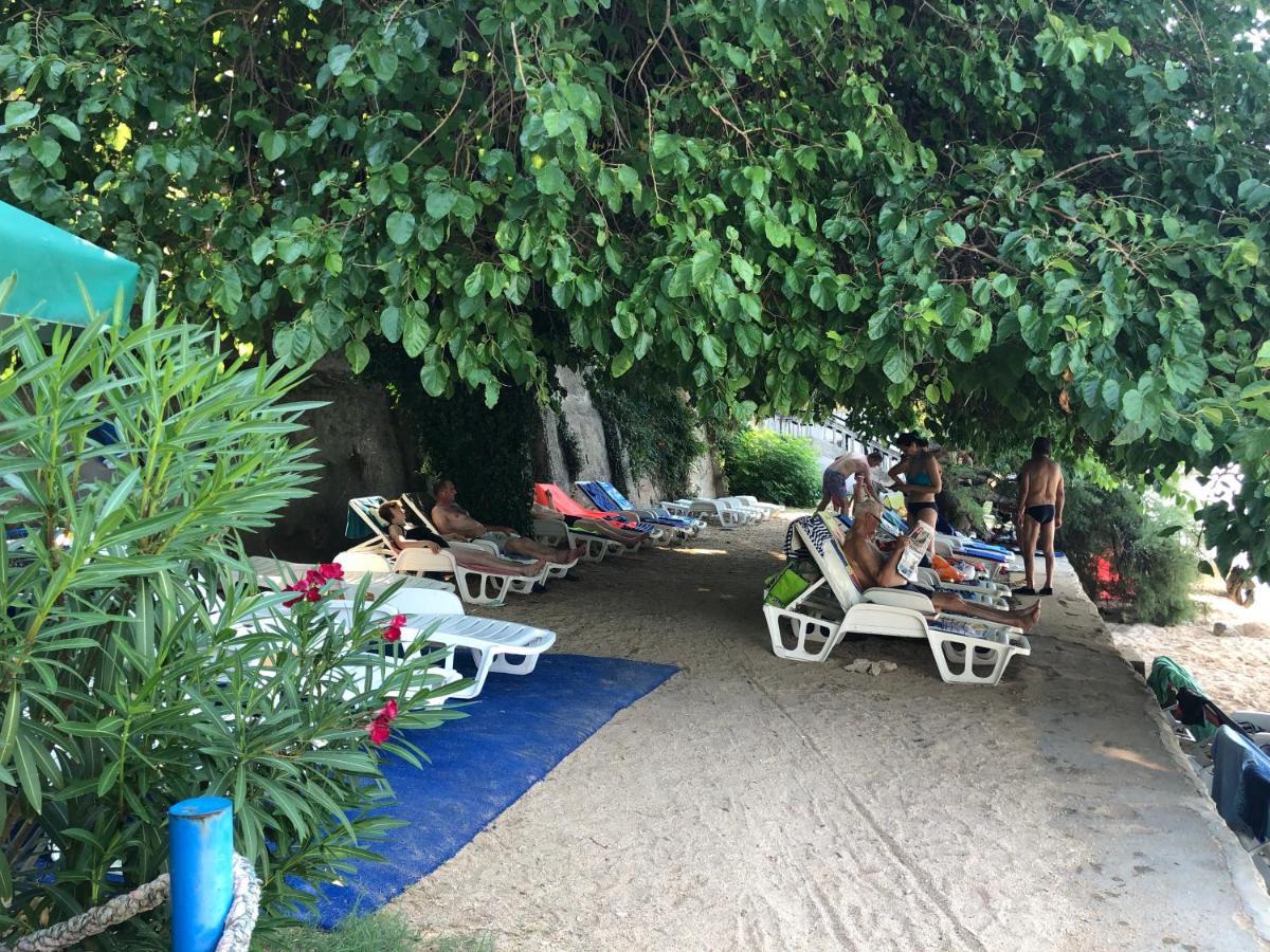 Danyja Apartments Sveti Filip i Jakov Exteriör bild